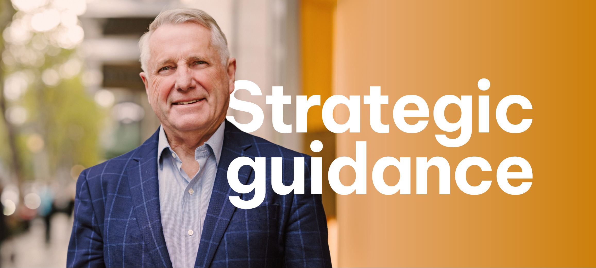 Strategic guidance