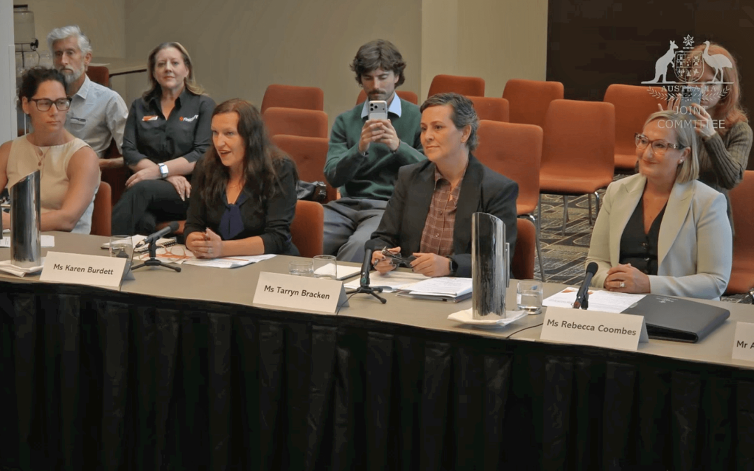 Joint Standing Committee on the NDIS inquiry